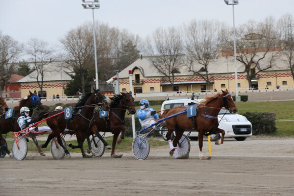 corse ippodromo arcoveggio