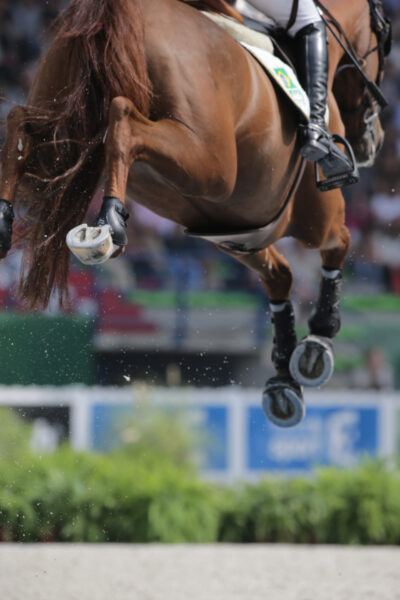 Rodrigo Giesteira Almeida e Karonia L in testa al Gran Premio CSI5*-W 1,55m Sport Vlaanderen di domenica a Mechelen