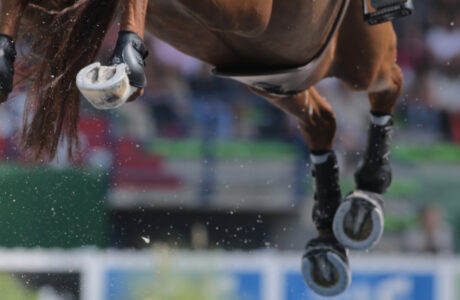 Rodrigo Giesteira Almeida e Karonia L in testa al Gran Premio CSI5*-W 1,55m Sport Vlaanderen di domenica a Mechelen