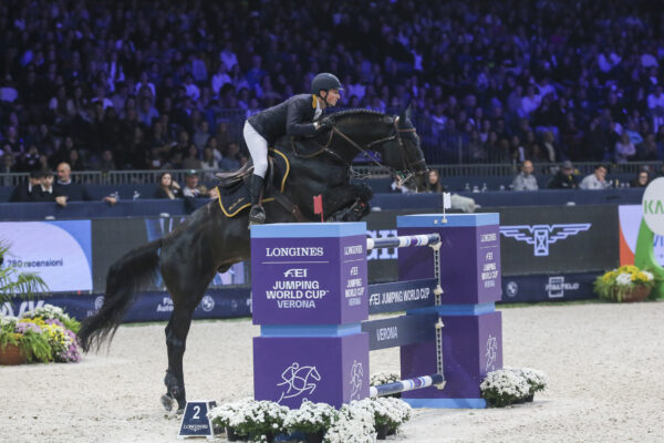 de Luca Lorenzo ITA riding Curcuma Il Palazzetto Verona 20241110 SS7 5791