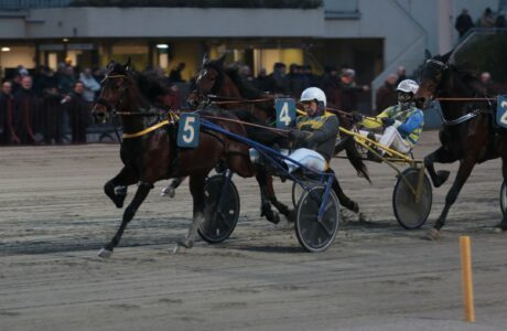 IPPODROMO ARCOVEGGIO BOLOGNA