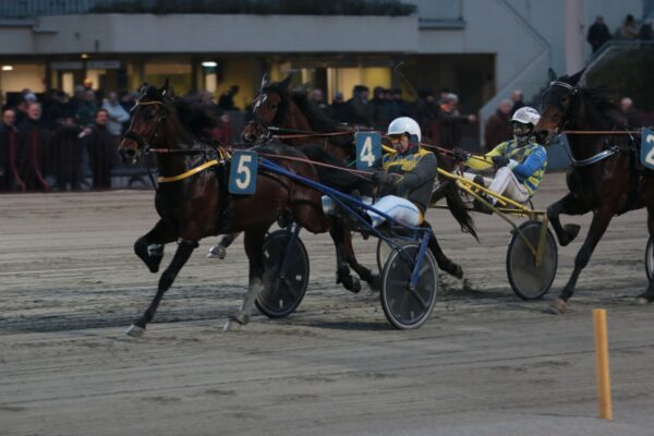 IPPODROMO ARCOVEGGIO BOLOGNA