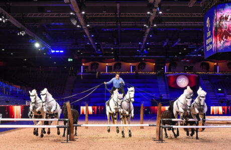 LORENZO IL “FRANCESE VOLANTE” SI PREPARA PER IL LONDON INTERNATIONAL HORSE SHOW 2024