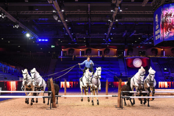 LORENZO IL “FRANCESE VOLANTE” SI PREPARA PER IL LONDON INTERNATIONAL HORSE SHOW 2024