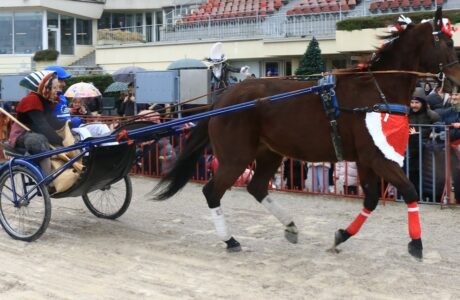 Lunedì 6 gennaio 2025 all’Ippodromo Arcoveggio di Bologna: Gran Premio della Vittoria Isibetpro - Trofeo Carlo Mantellini -