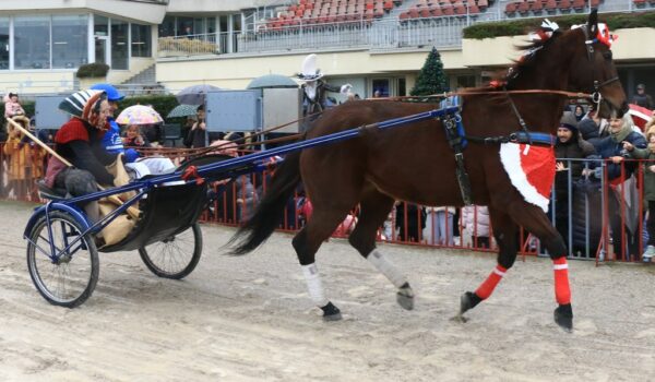 Lunedì 6 gennaio 2025 all’Ippodromo Arcoveggio di Bologna: Gran Premio della Vittoria Isibetpro - Trofeo Carlo Mantellini -