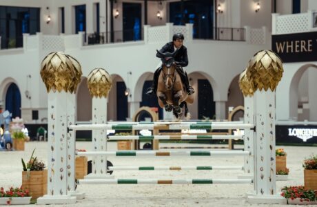 Abdel Saïd all'Al Shira'aa Horse Show 2025