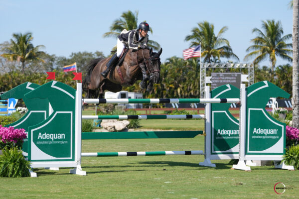 Nicola Philippaerts & Derby de Riverland. Photo