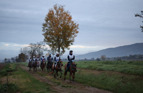 Gara di endurance