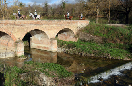 CONOSCETE LE RADICI DELL'ENDURANCE EQUESTRE?