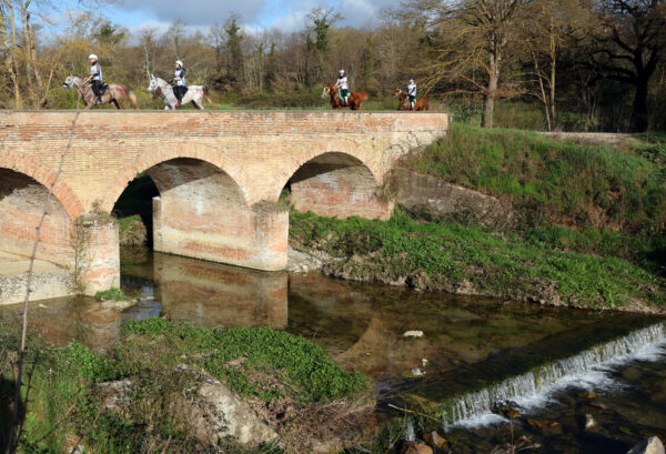 CONOSCETE LE RADICI DELL'ENDURANCE EQUESTRE?