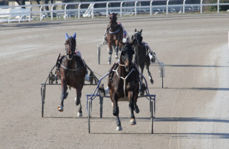 Alla "Prima" di febbraio all'Ippodromo SNAI San Siro Fosciandora DR Protagonista nel premio Chris Evert Treb raccogliendo la nona vittoria in 14 uscite.