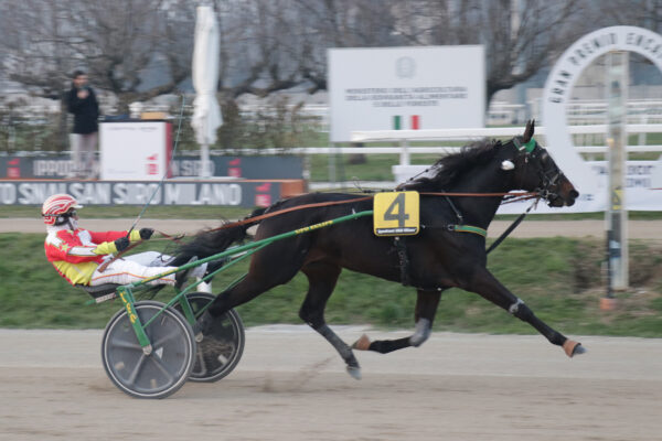 Il Gran Premio ENCAT 2025 all'Ippodromo SNAI San Siro.