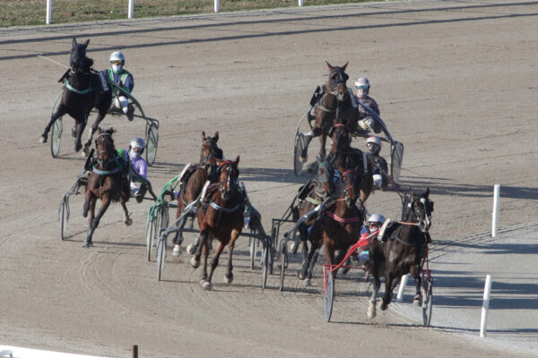 ALL’IPPODROMO SNAI SAN SIRO UNA DOMENICA DI GRANDE TROTTO