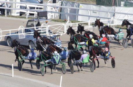 All'Ippodromo SNAI Siro mercoledì di trotto a partire dalle ore 14,40 con sette corse in pista tra cui il premio All of Host.