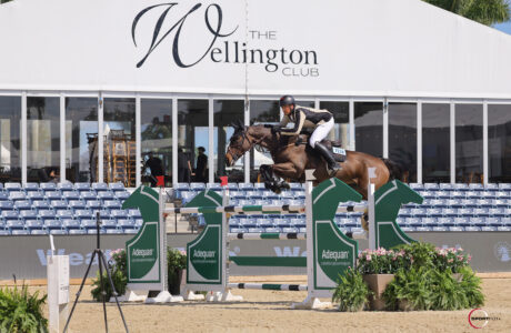 Nicola Philippaerts & Katanga v/h Dingeshof