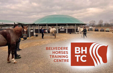 Formazione Equestre: l'Endurance al centro dell'attenzione al BHTC.