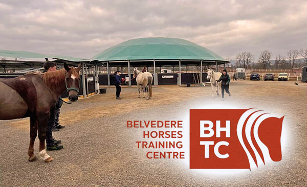 Formazione Equestre: l'Endurance al centro dell'attenzione al BHTC.