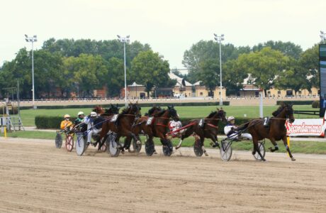 IPPODROMO ARCOVEGGIO BOLOGNA