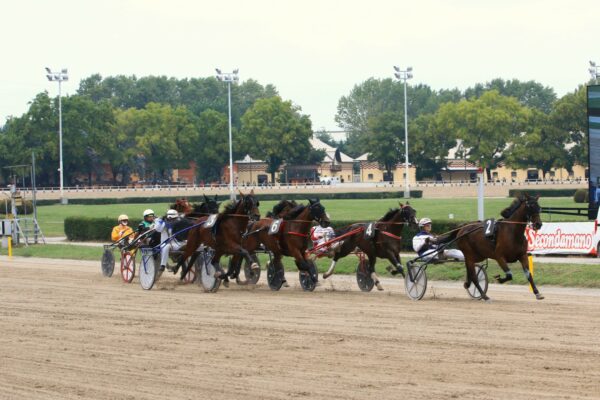 IPPODROMO ARCOVEGGIO BOLOGNA