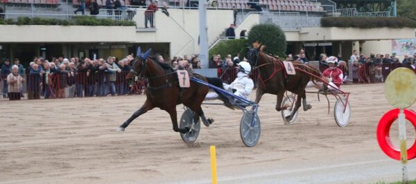 Ippodromo Arcoveggio Bologna