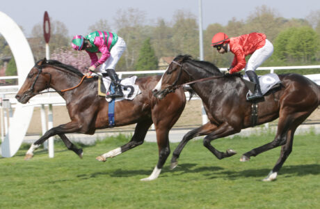 San Siro PREMIO GERALD MURNANE