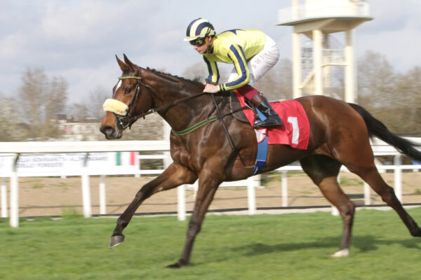 PREMIO SEREGNO Trofeo GOFFS UK Arrivo ippodromo san siro