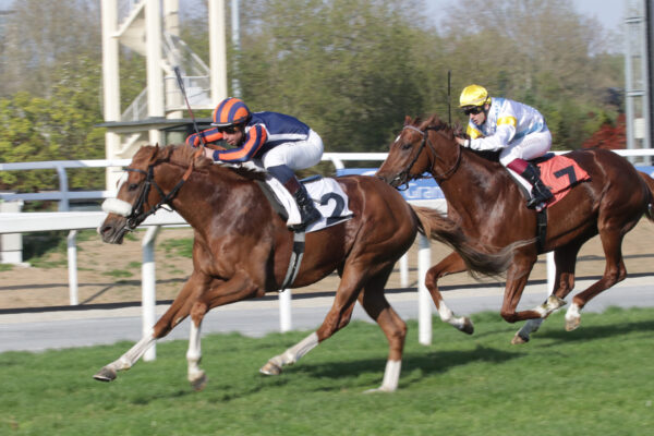 Ippodromo SNAI San Siro PREMIO ARIA CLUB MILANO