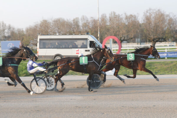 Ippodromo Snai San Siro PREMIO TRECATE