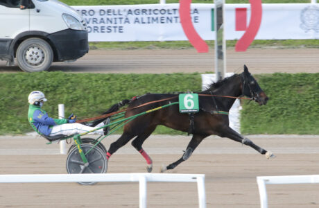 San Siro PREMIO PEACE OF MIND