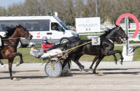 San Siro PREMIO WILLIAM CASOLI