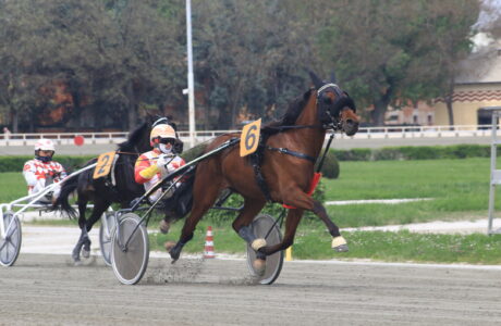 Ippodromo Bologna Carmine Piscuoglio